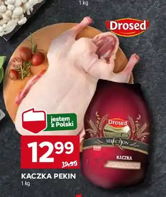 Polomarket Kaczka pekin oferta