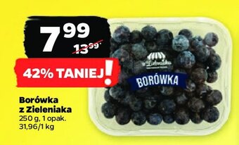 Netto Borówka oferta