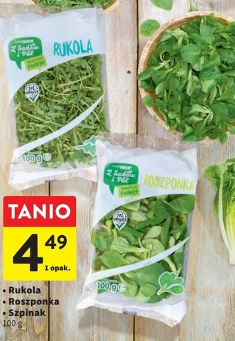 Intermarche Rukola oferta