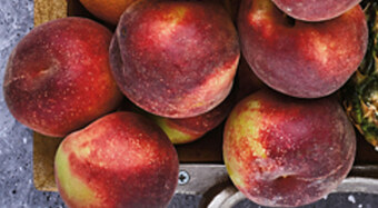 Biedronka Brzoskwinia oferta