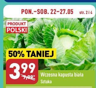 ALDI Kapusta biała oferta