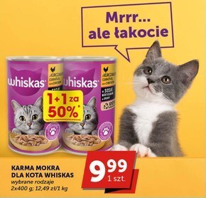 Groszek Karma dla kota whiskas oferta