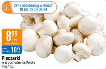 E.Leclerc Pieczarki oferta