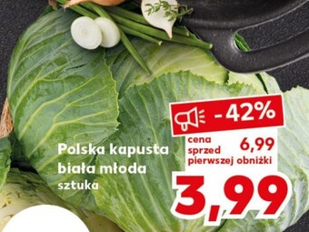 Kaufland Kapusta młoda oferta