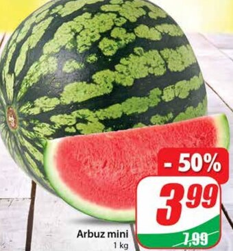 Dino Arbuz oferta