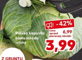 Kaufland Polska kapusta biała młoda oferta