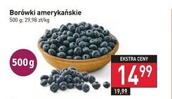 Stokrotka Borówki amerykańskie 500 g oferta