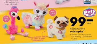 Biedronka Pets Alive Roztańczone zwierzątko oferta