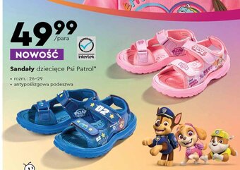 Biedronka Sandały dziecięce Psi Patrol oferta