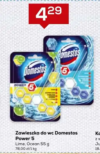 Zawieszka do WC Domestos Power 5 55g
