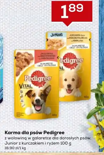 Lewiatan Karma dla psów Pedigree 100g oferta
