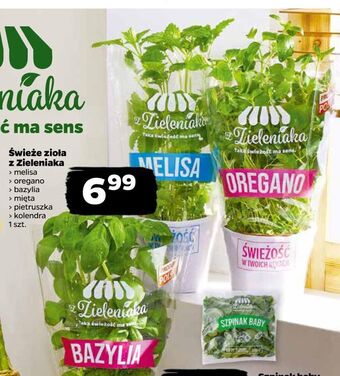Mięta z zieleniaka netto