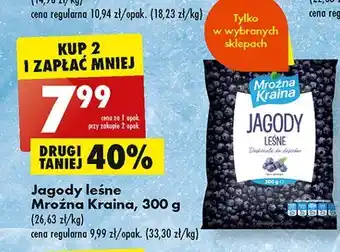 Biedronka Jagody leśne mroźna kraina oferta