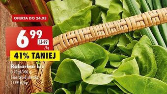 Biedronka Rabarbar oferta