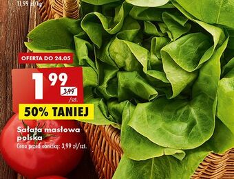 Biedronka Sałata masłowa oferta