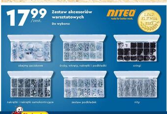 Biedronka Oringi niteo oferta