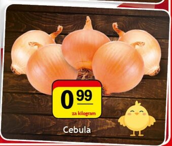 Gram Market Cebula 1kg oferta