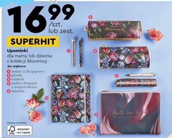 Biedronka Długopisy oferta