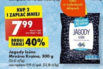 Jagody leśne Mroźna Kraina, 300 g