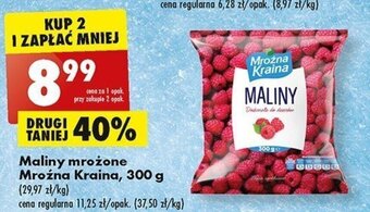 Biedronka Maliny mrożone Mroźna Kraina, 300 g oferta