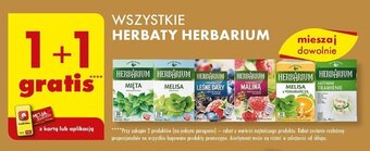 Biedronka WSZYSTKIE HERBATY HERBARIUM oferta