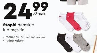 Biedronka Stopki damskie lub męskie oferta
