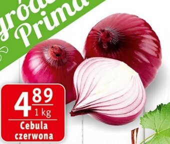 Prim Market Cebula czerwona 1kg oferta
