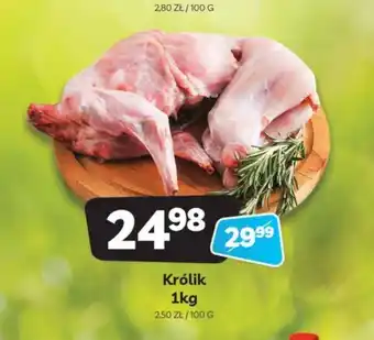 Delfin Królik 1kg oferta