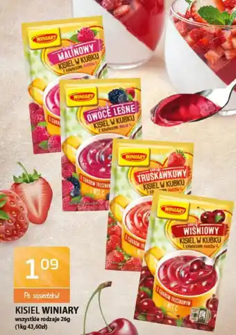 ABC Kisiel Winiary 26g oferta