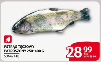 Selgros PSTRĄG TĘCZOWY PATROSZONY 250-400 G oferta