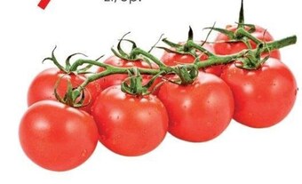 Frac Pomidory oferta