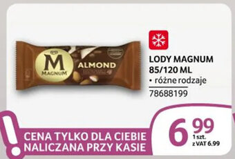 Selgros LODY MAGNUM 85/120 ML oferta