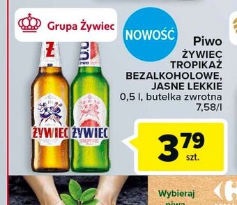 Carrefour Market Piwo oferta