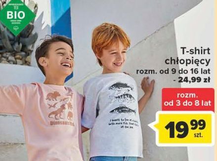 Carrefour T-shirt chłopięcy 3 do 8 lat tex oferta