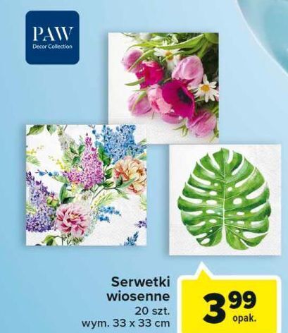 Carrefour Serwetki 33 x cm paw oferta