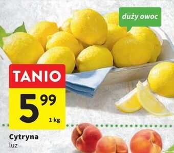 Intermarche Cytryny oferta