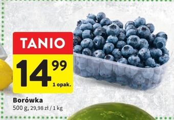 Intermarche Borówka amerykańska oferta