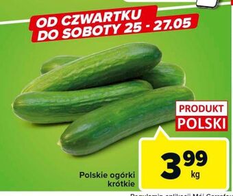 Ogórki krótkie