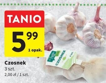Intermarche Czosnek z sadów i pól oferta