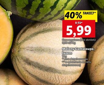 Lidl Melon cantaloupe oferta