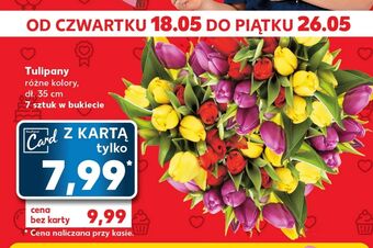Kaufland Tulipany 35 cm oferta