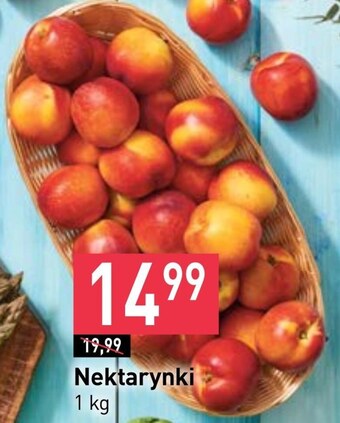 Stokrotka Nektarynki oferta