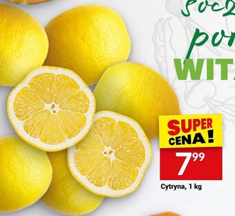 Twój Market Cytryna oferta