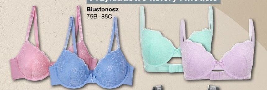Woolworth Biustonosz oferta