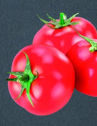 TomiMarkt Pomidory oferta