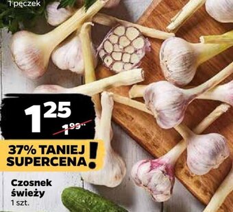 Netto Czosnek świeży oferta