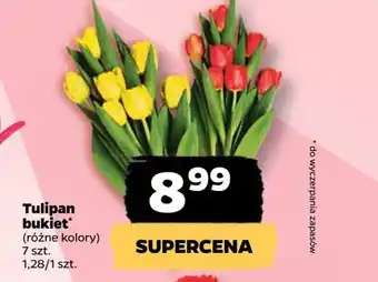 Netto Tulipan bukiet 7 szt. oferta