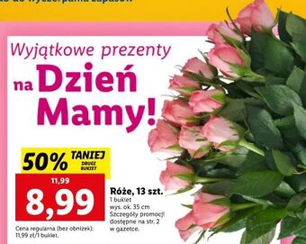 Lidl Róże 35 cm oferta