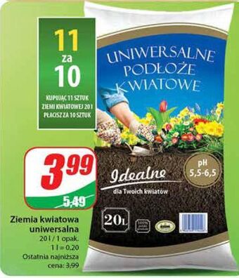 Dino Ziemia kwiatowa uniwersalna oferta
