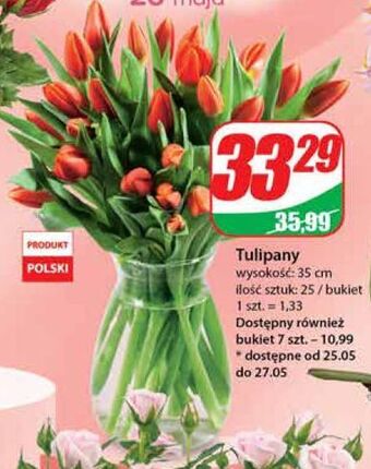 Dino Tulipany 35 cm oferta